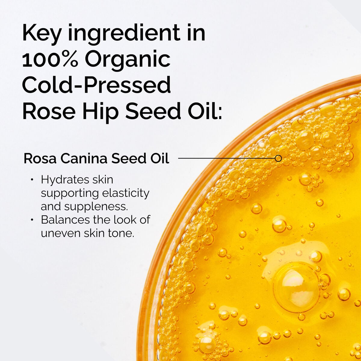 100-organic-cold-pressed-rose-hip-seed-oil-k6 FY25-D41247-ORD-Web-PDP-100-Rose-Hip-Oil-1x1-EN-2.jpg