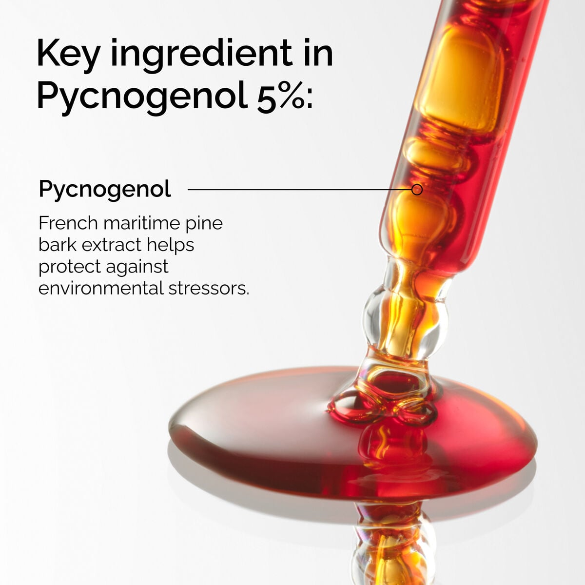 pycnogenol-5-c0 FY25-D41247-ORD-Web-PDP-Pyc-5pct-1x1-EN-2a.jpg