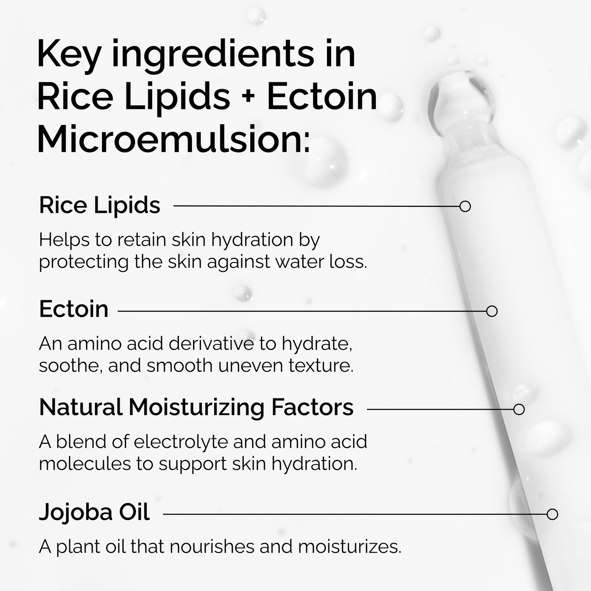 rice-lipids-ectoin-microemulsion-c6 ord-rice-lipids-ectoin-microemulsion-key-ingredients.png