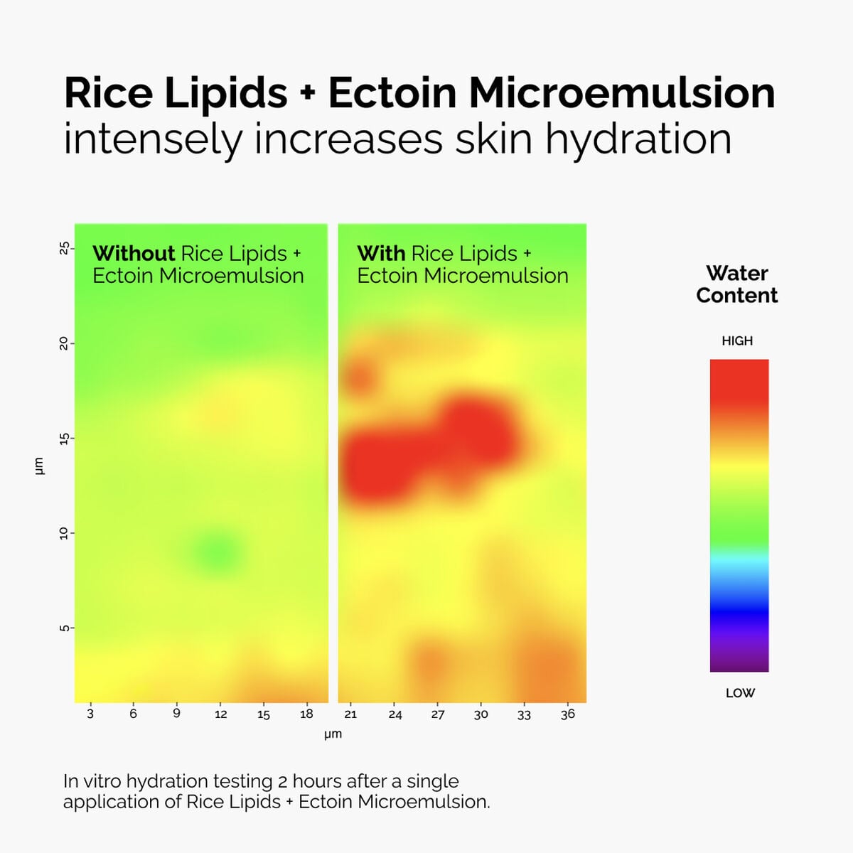 rice-lipids-ectoin-microemulsion-c6 ord-rice-lipids-ectoin-microemulsion-thermal-before-after.jpg